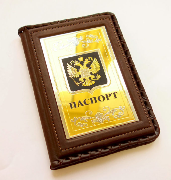 Набор Ежедневник, обложка для паспорта